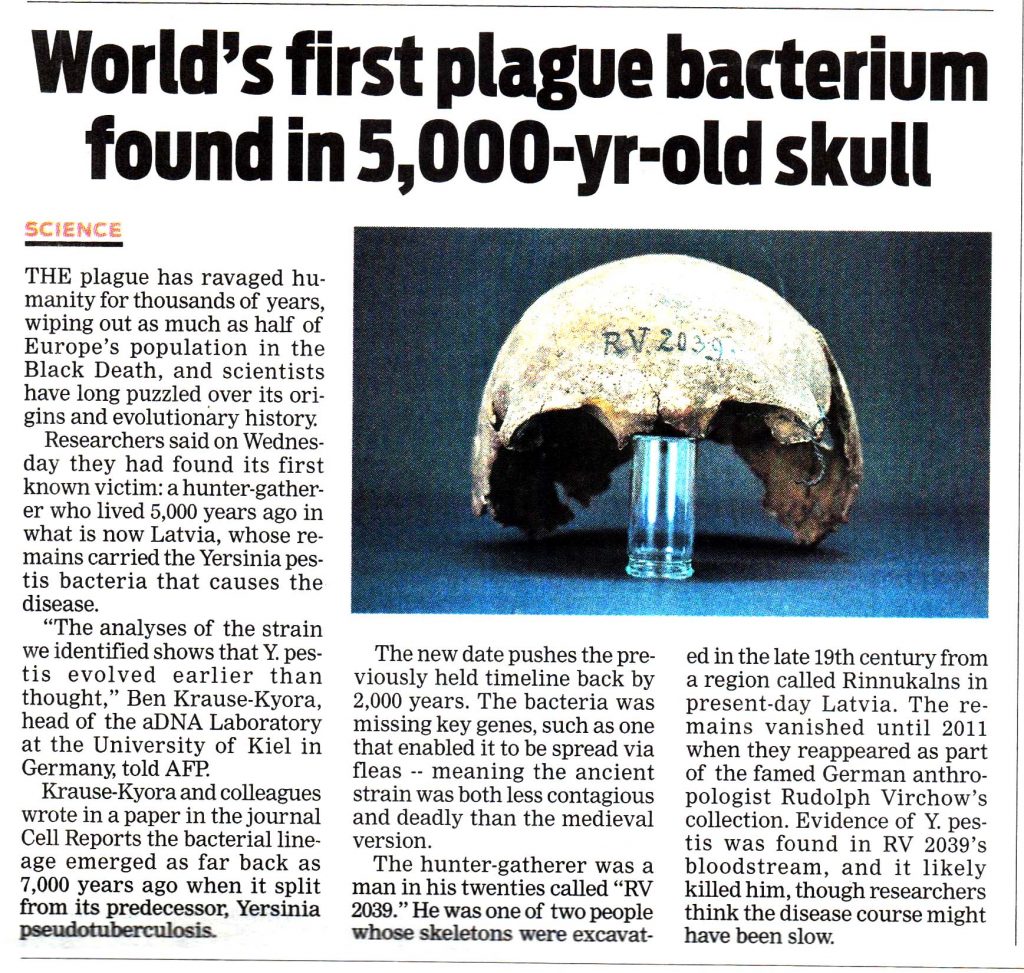 Plague bacteria.jpeg