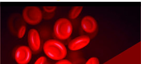 World Thalassemia Day 1