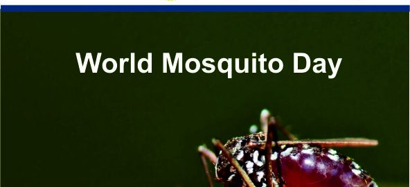 World Mosquito Day 1