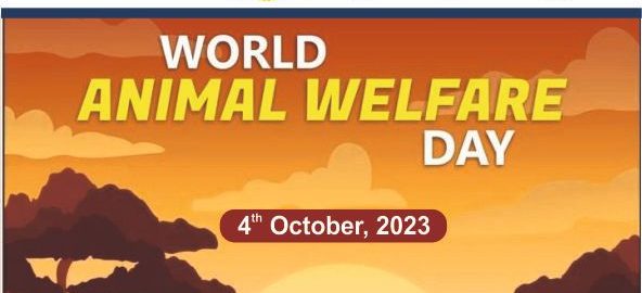 World Animal Welfare Day 1