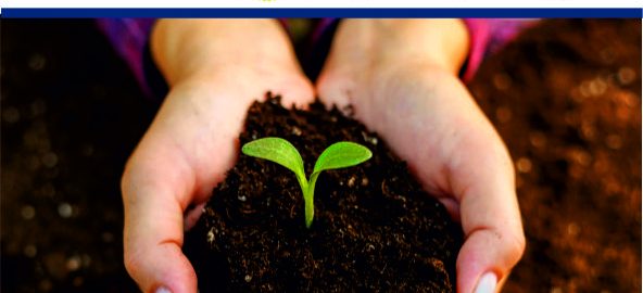 World Soil Day 1-min