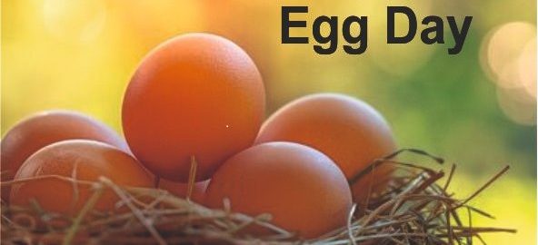 World Egg Day rrmch