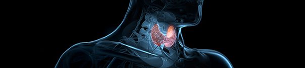 endocrinology-banner-img
