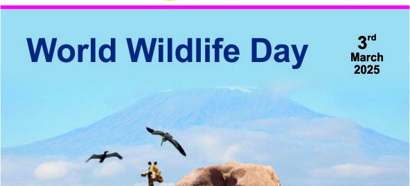 World Wildlife Day 1
