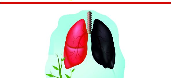 Anti-Tobacco Day 2025