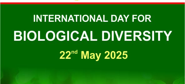 International Day for Biological Diversity 2025