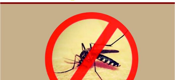 National Dengue Day 2025