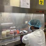 Culturesensitivitytesting