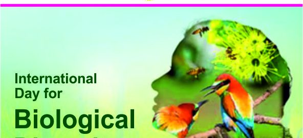 International Day for Biological Diversity 3