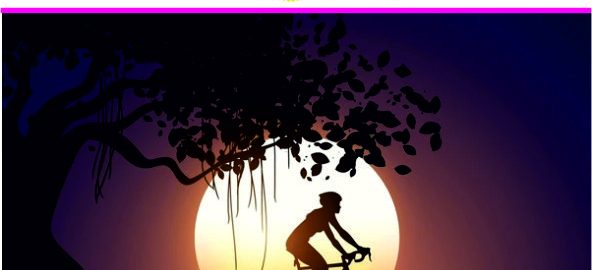 World Bicycle Day 3