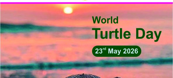 World Turtle Day 1