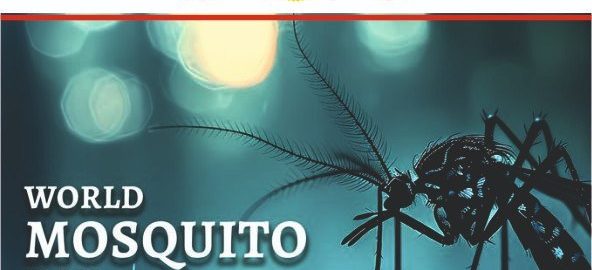 World Mosquito Day 3-100kb